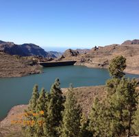Presa las Ninas